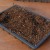 Image of seed compost 