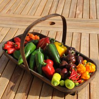 sq-veg-basket-chillies-and-peppers-004.jpg