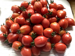tomato-english-vesuviano-piennolo-001.jpg