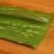 sq-aloe-vera-leaves-002.jpg