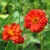 sq-geum-mrs-bradshaw-004.jpg