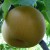 sq-pear-asian-kosui-001.jpg