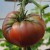 sq-tomato-black-krim-002.jpg