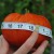 sq-tomato-giant-delicious-009.jpg