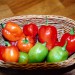 chilli-pepper-habanero-caribbean-red-002.jpg