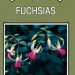 growing-showing-fuchsias.jpg