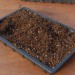 sq-seed-compost-001.jpg