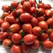tomato-english-vesuviano-piennolo-001.jpg