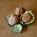 walnut-broadview-004.jpg