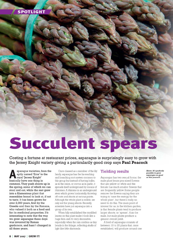 Image of the magazine article 'Succulent Spears'