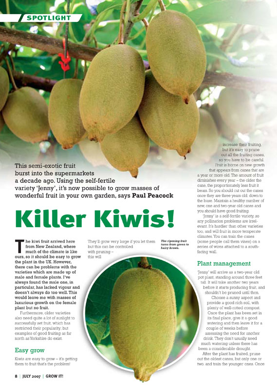 Image of the magazine article 'Killer Kiwis'