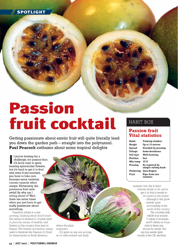 Image of the magazine article 'Passion Fruit Cocktail'