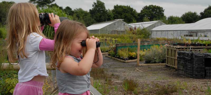 Molly & Milly Search The Nursery
